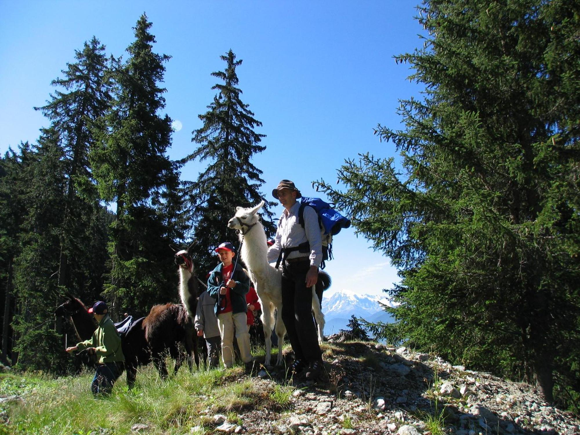 Vital Hotel Ortlerspitz San Valentino alla Muta Bagian luar foto